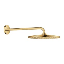 Grohe Rainshower 310 Mono Верхній душ з душовим кронштейном 422 мм, 1 режим струменя (26558GL0) Grohe Rainshower 310 Mono Верхній душ з душовим кронштейном 422 мм, 1 режим струменя (26558GL0)
