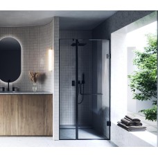 Душові двері WD 2 Чорна