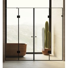 Душові двері WD 5 Полірована